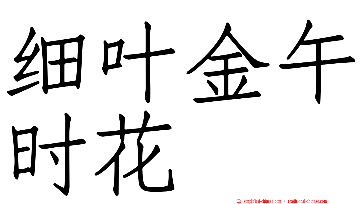 细叶金午时花