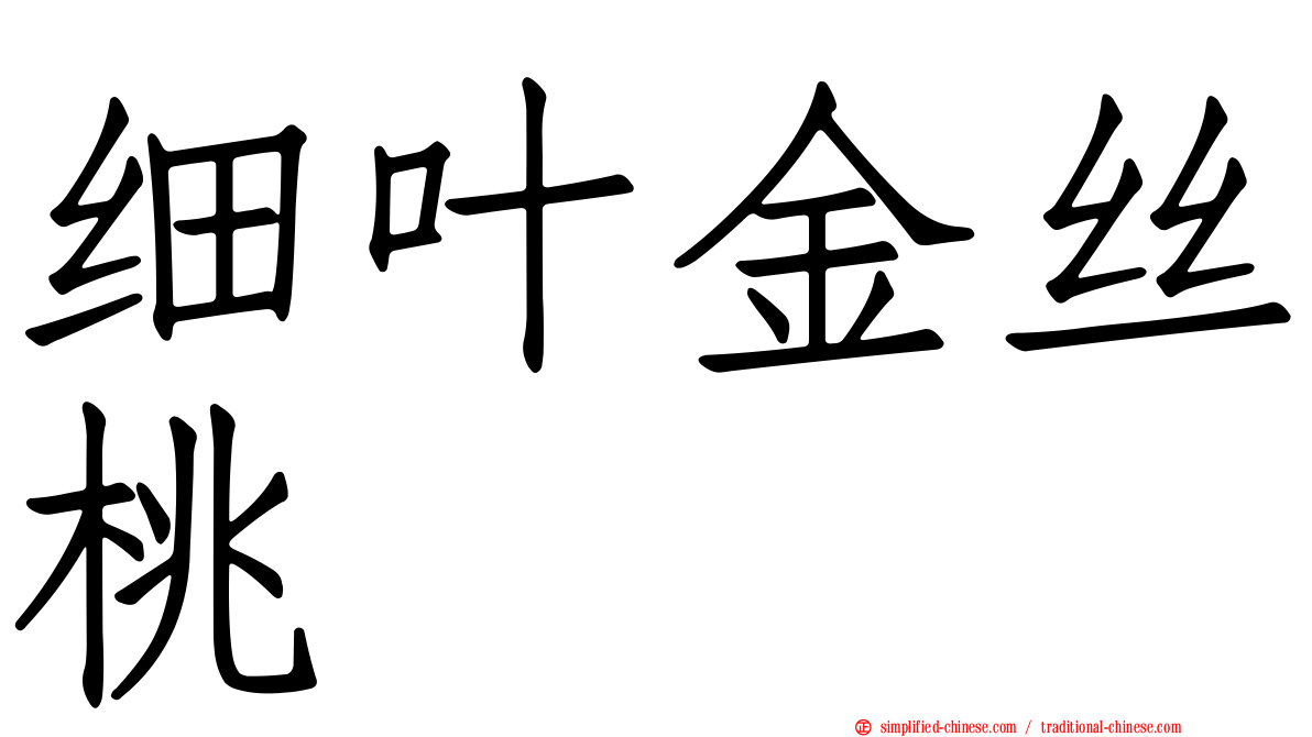 细叶金丝桃