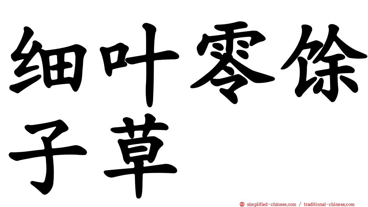 细叶零馀子草