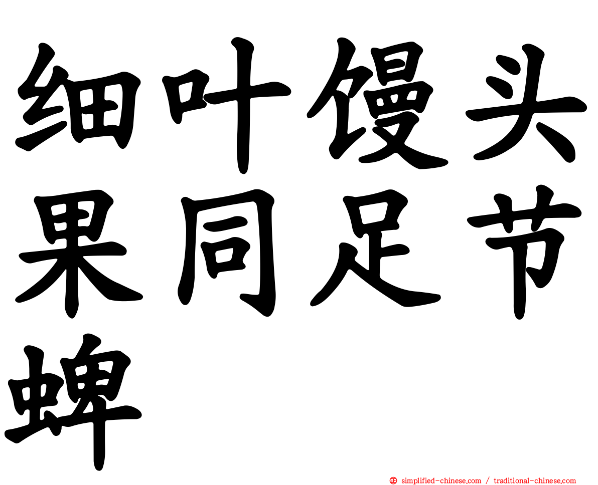 细叶馒头果同足节蜱
