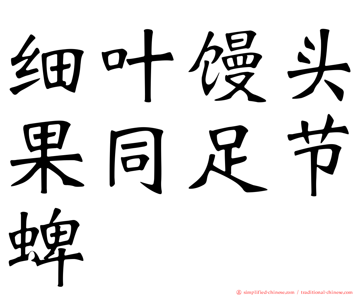 细叶馒头果同足节蜱