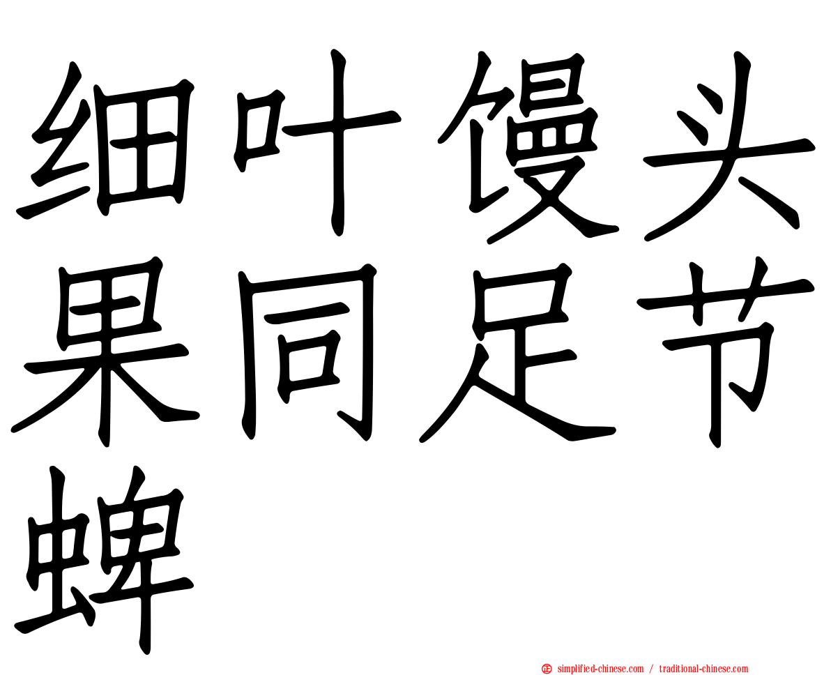 细叶馒头果同足节蜱