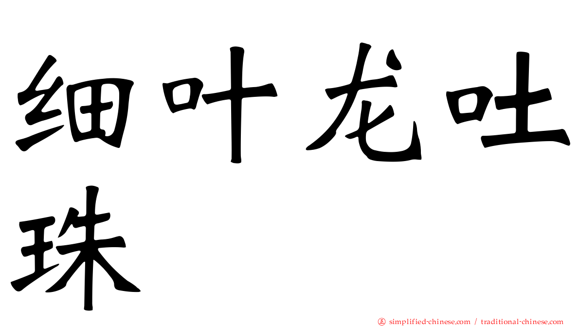 细叶龙吐珠