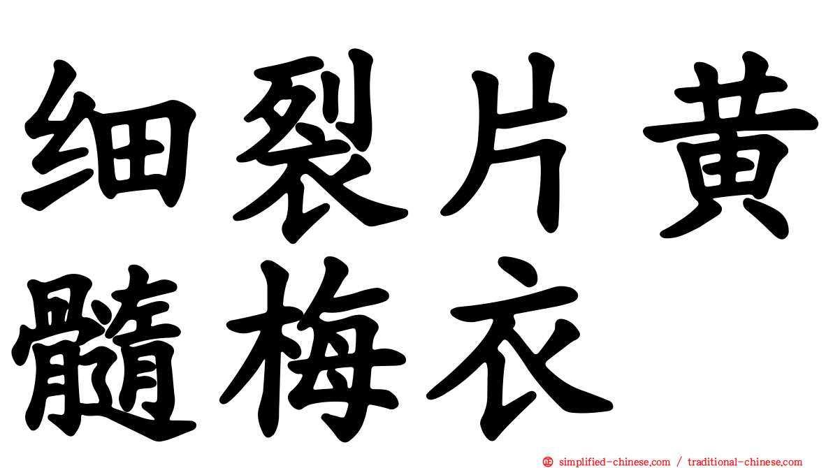 细裂片黄髓梅衣