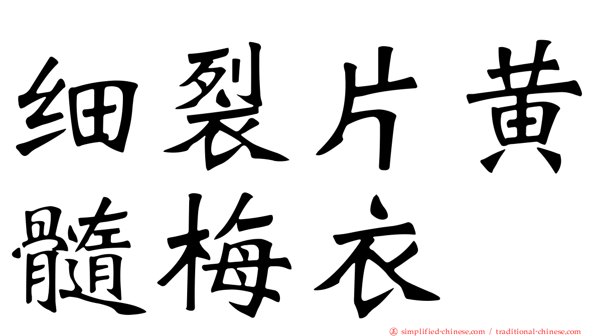 细裂片黄髓梅衣
