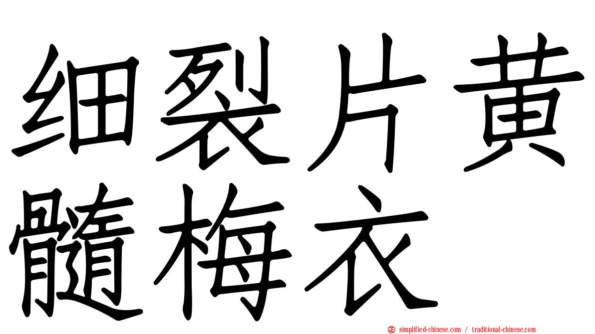 细裂片黄髓梅衣