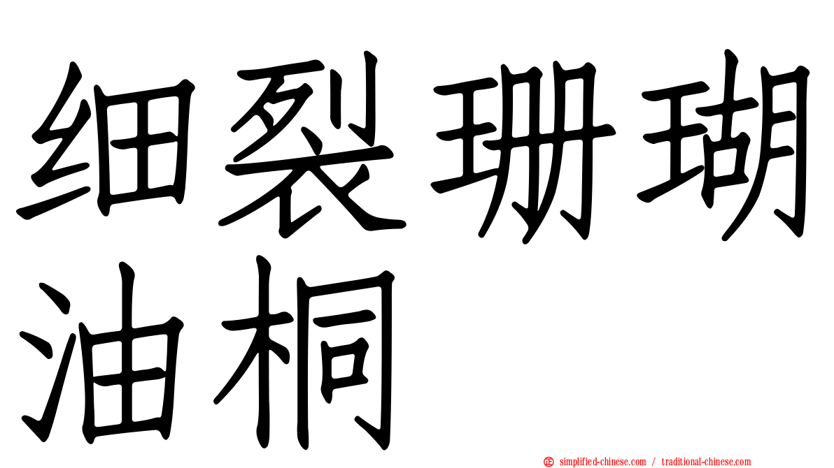 细裂珊瑚油桐