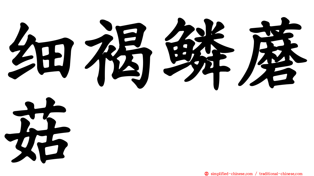 细褐鳞蘑菇