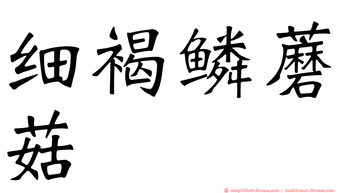 细褐鳞蘑菇