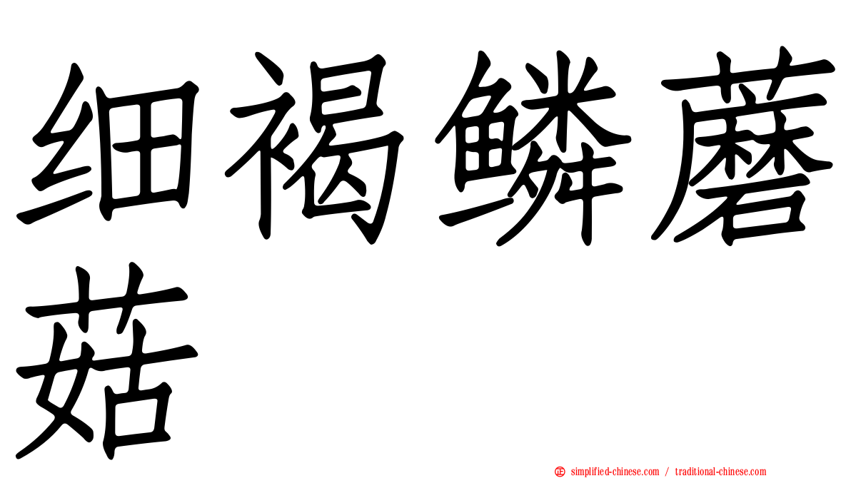 细褐鳞蘑菇
