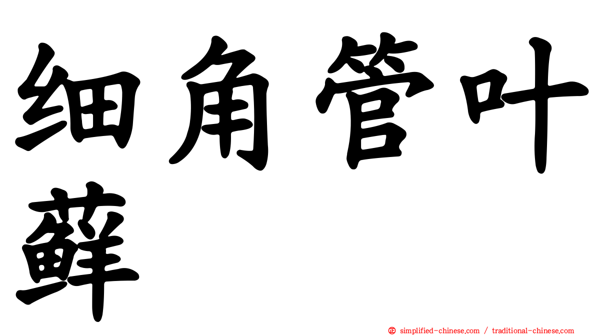 细角管叶藓