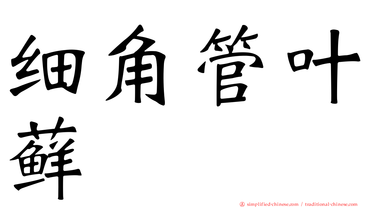 细角管叶藓