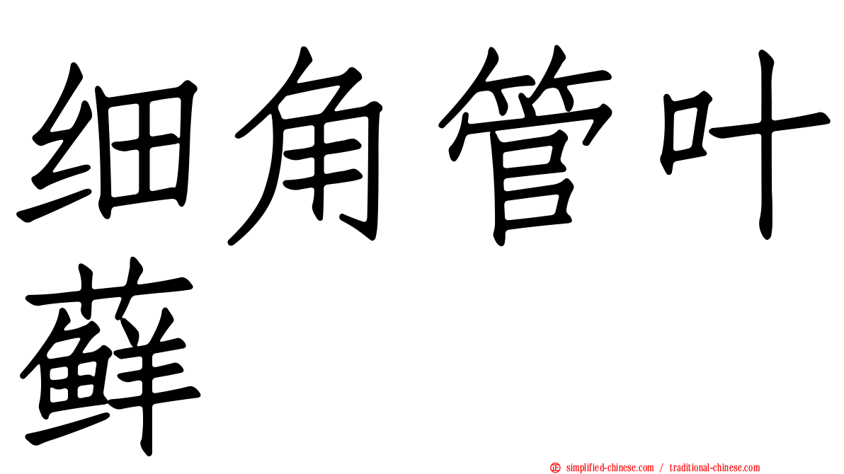 细角管叶藓