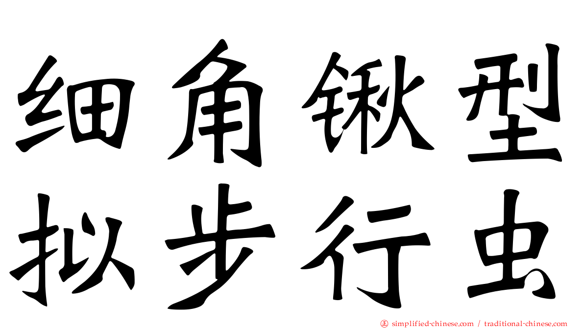 细角锹型拟步行虫