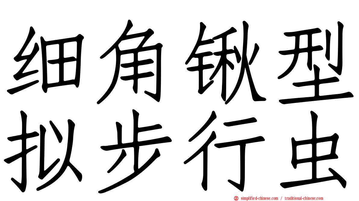细角锹型拟步行虫