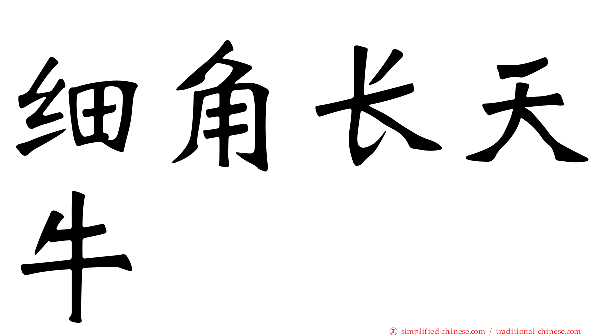 细角长天牛