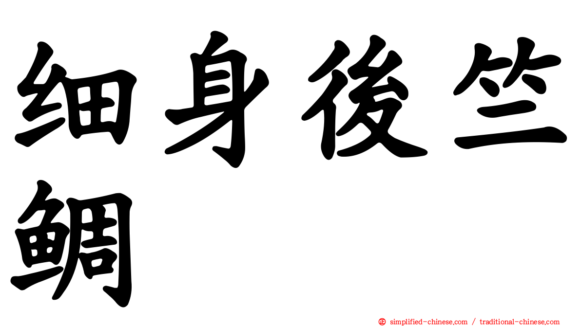 细身后竺鲷