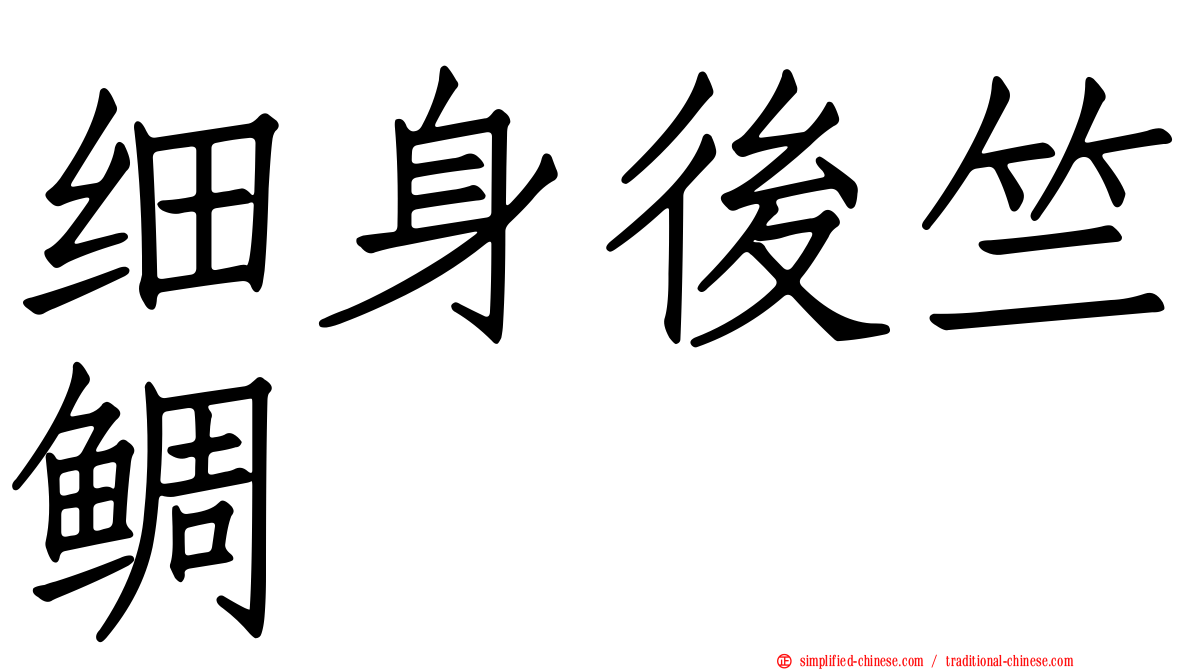 细身后竺鲷
