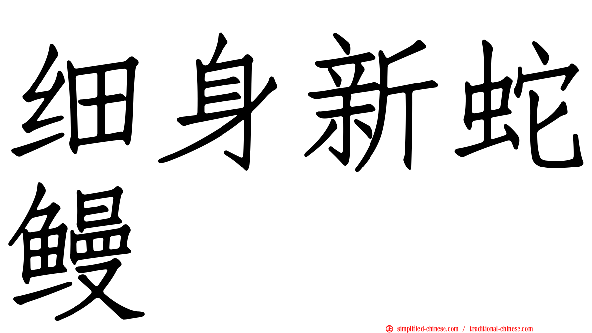 细身新蛇鳗