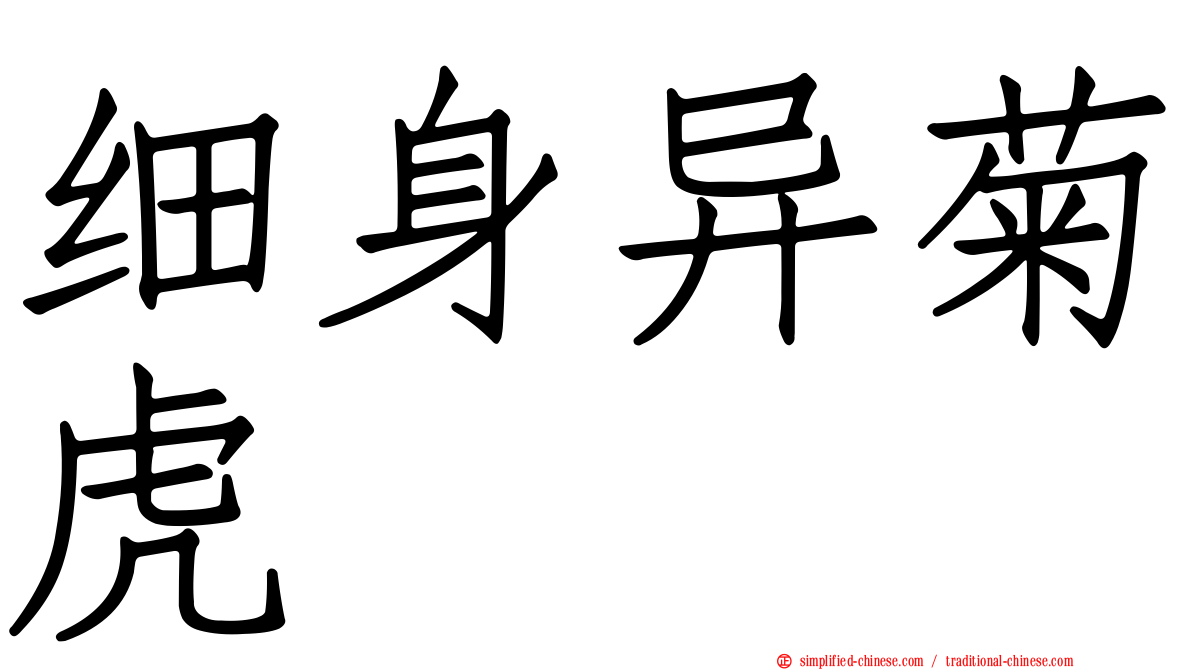 细身异菊虎