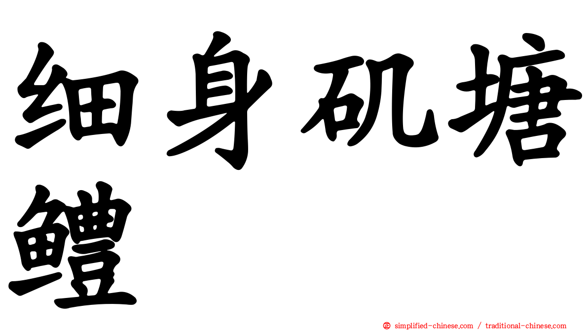 细身矶塘鳢
