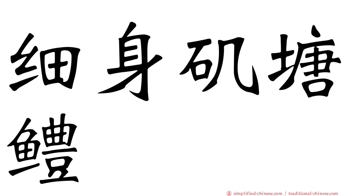 细身矶塘鳢