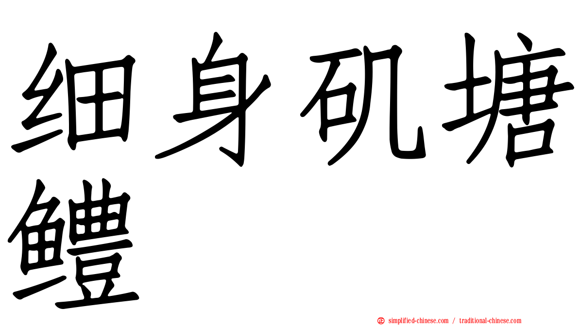 细身矶塘鳢