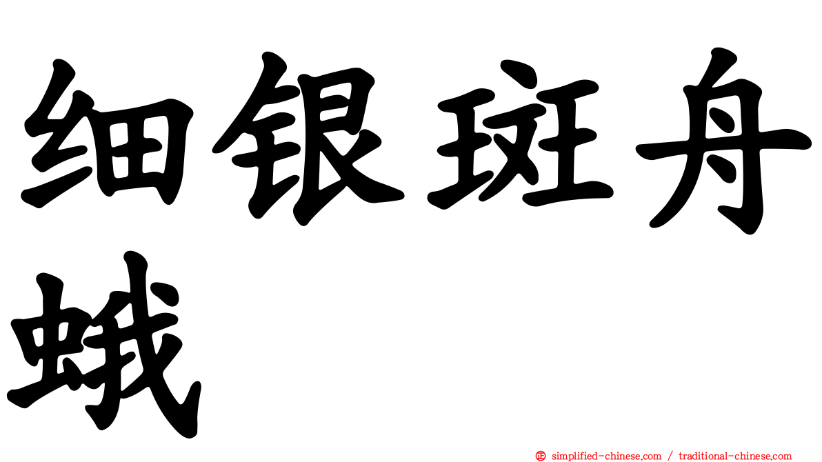 细银斑舟蛾