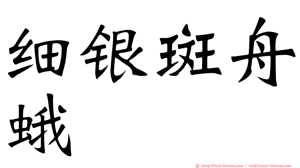 细银斑舟蛾