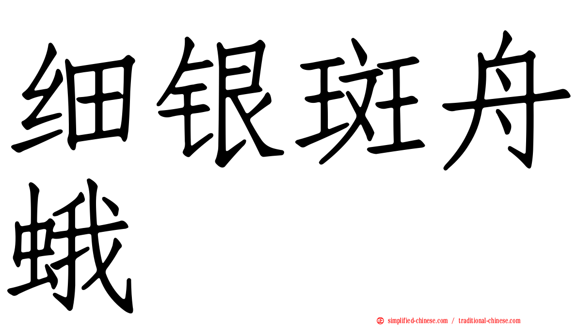 细银斑舟蛾