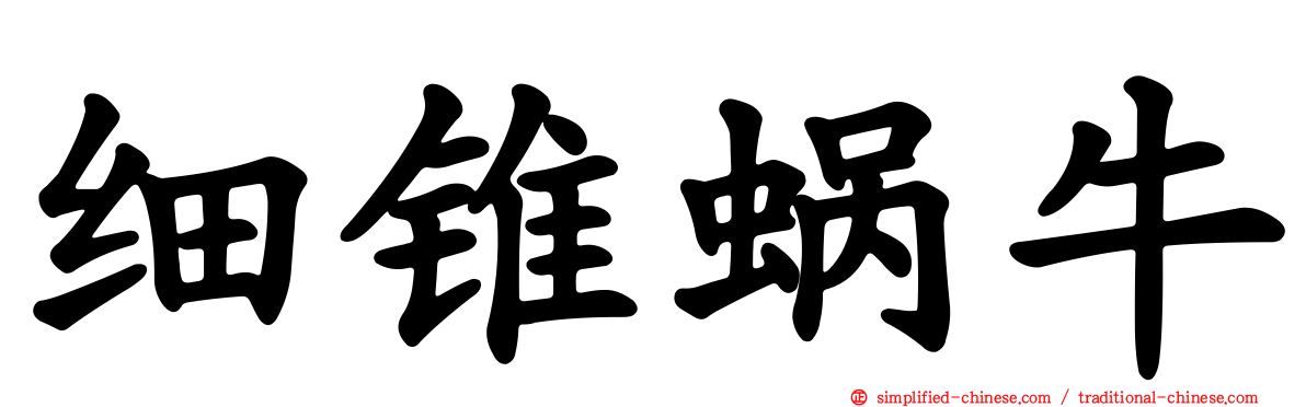 细锥蜗牛