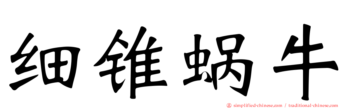 细锥蜗牛