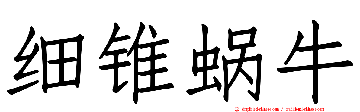 细锥蜗牛