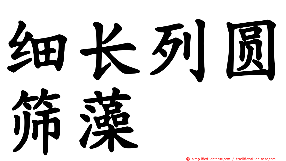 细长列圆筛藻
