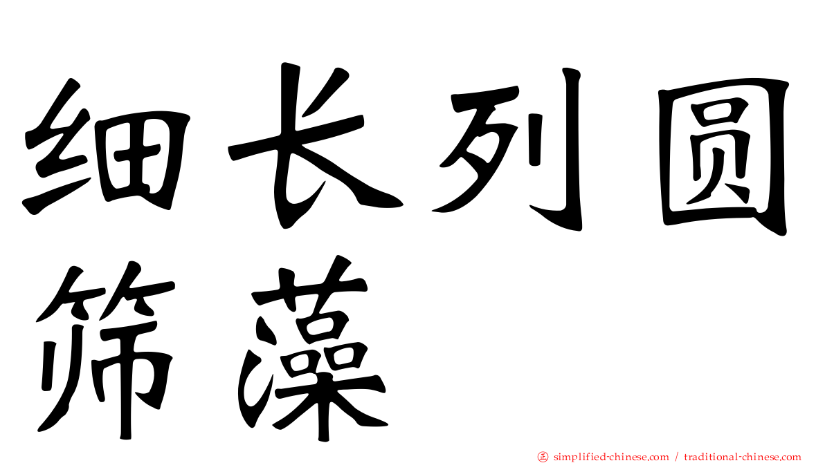 细长列圆筛藻