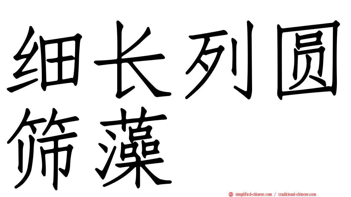细长列圆筛藻