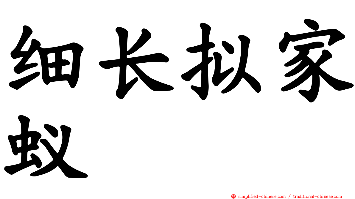 细长拟家蚁
