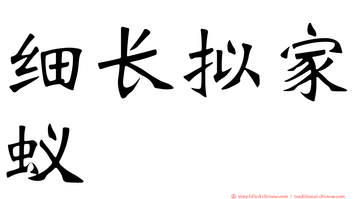 细长拟家蚁