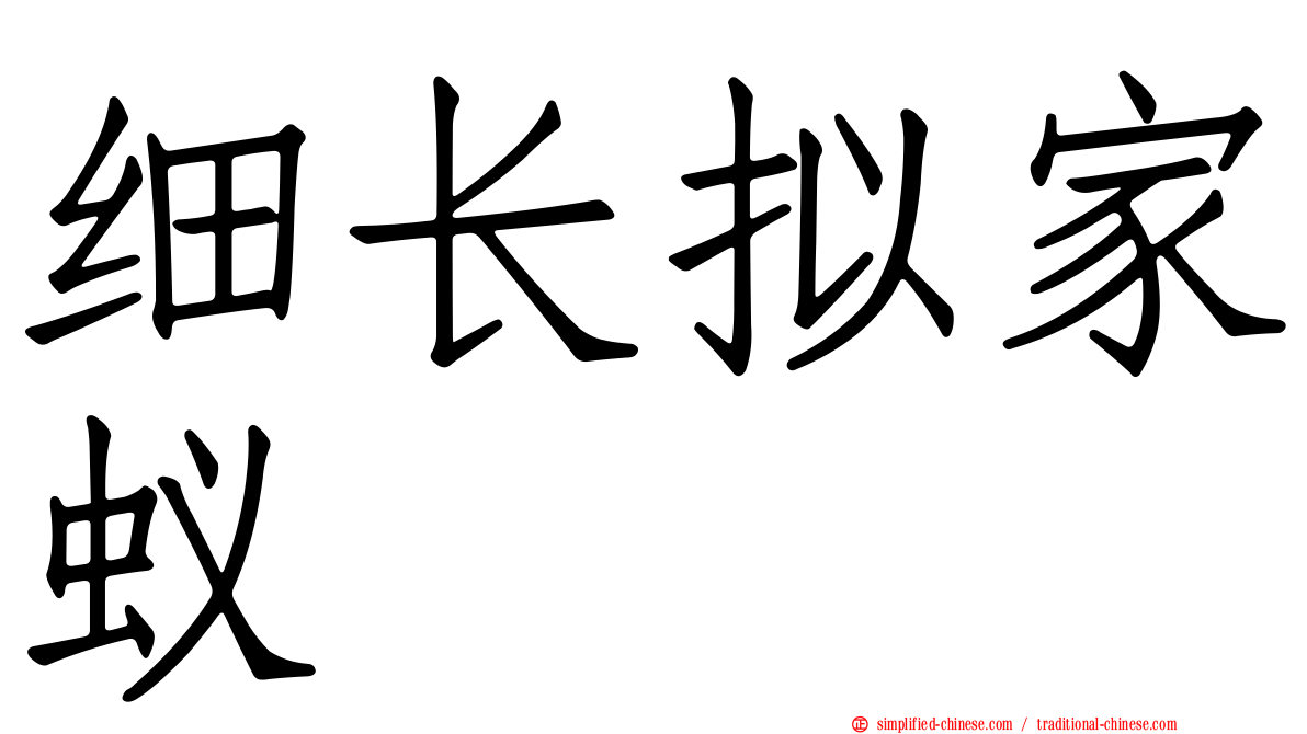 细长拟家蚁