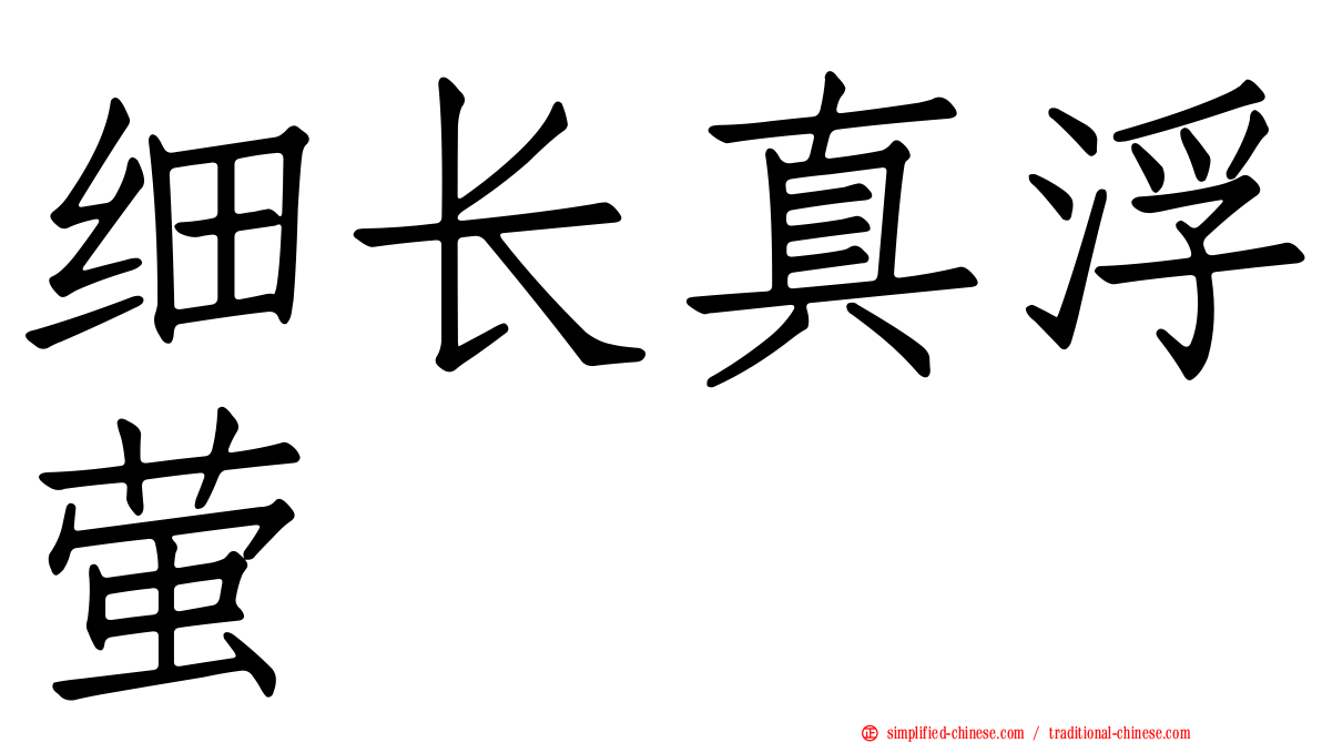 细长真浮萤