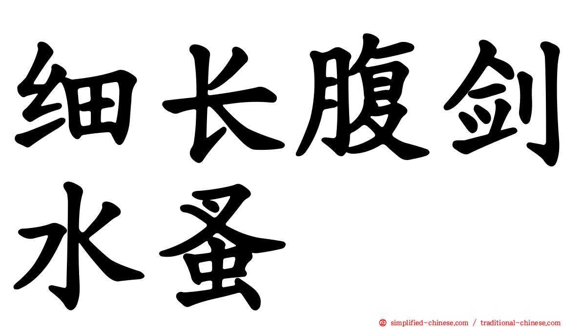 细长腹剑水蚤