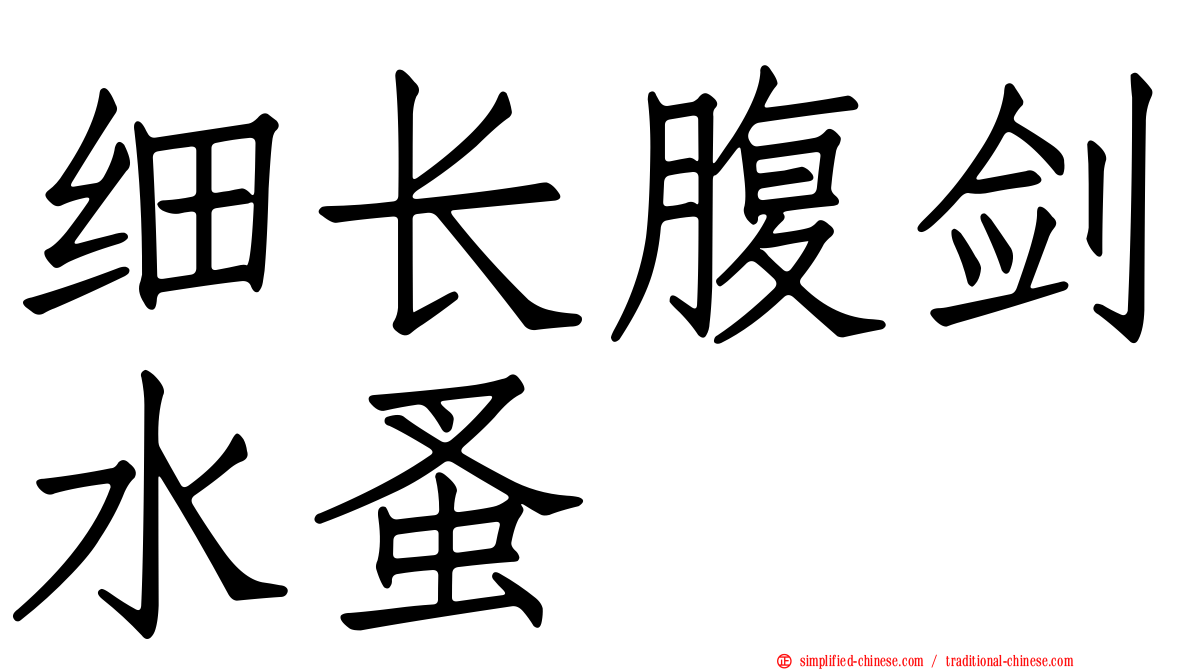 细长腹剑水蚤
