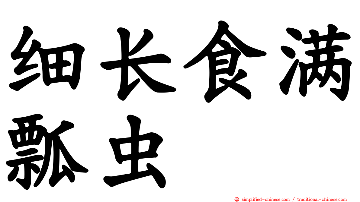细长食满瓢虫