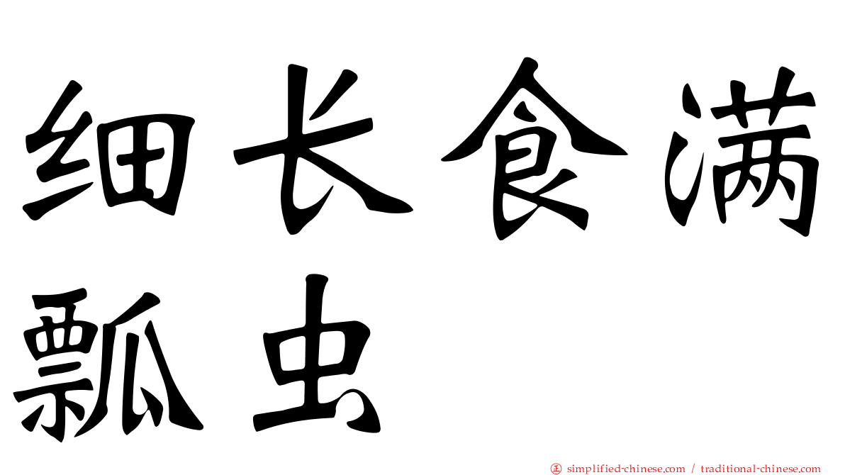 细长食满瓢虫