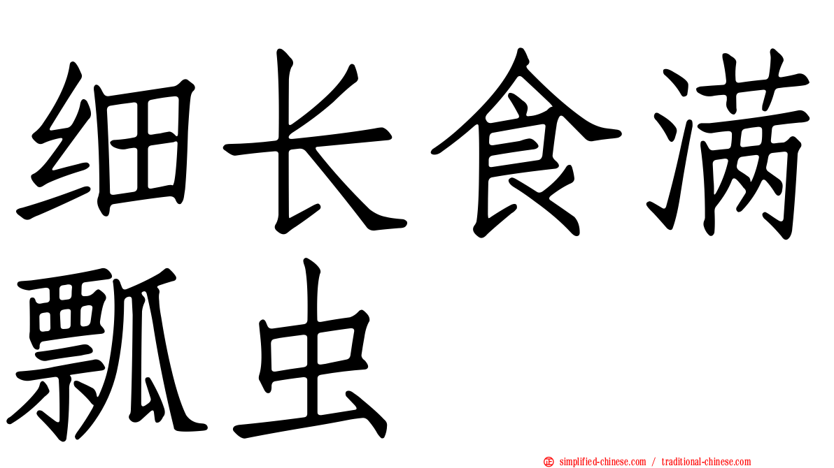 细长食满瓢虫