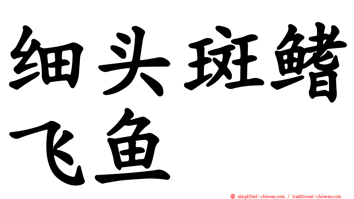 细头斑鳍飞鱼