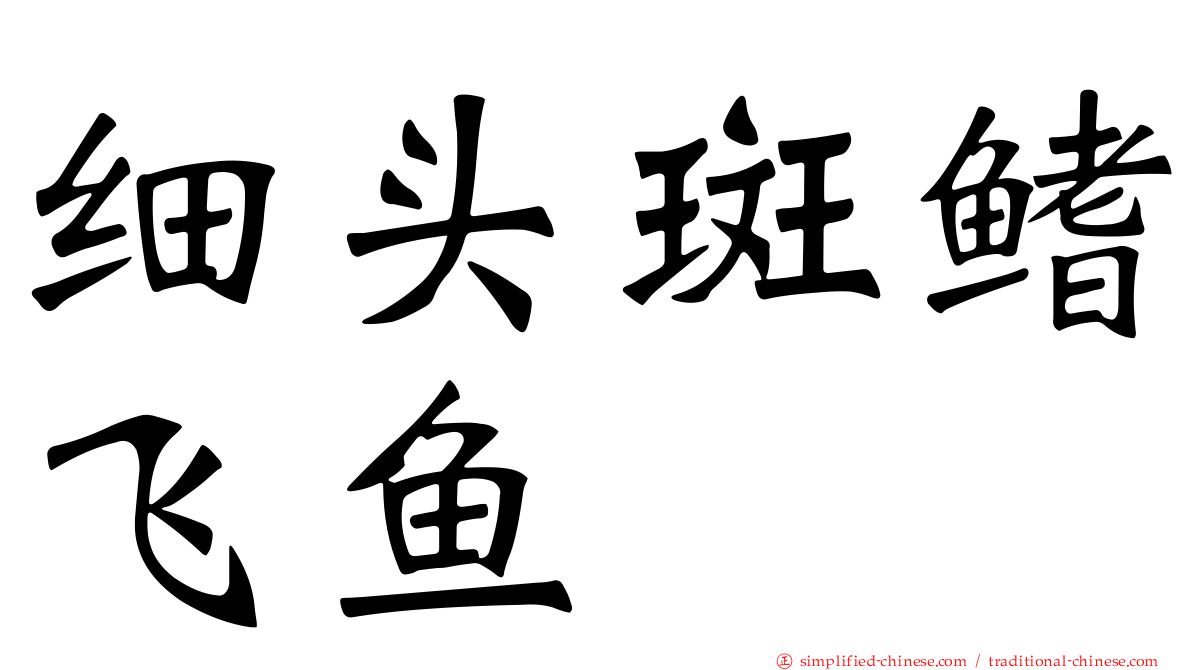 细头斑鳍飞鱼