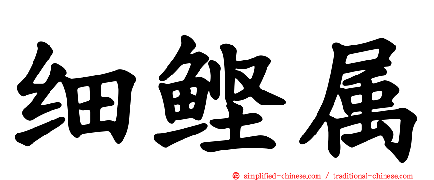 细鲣属