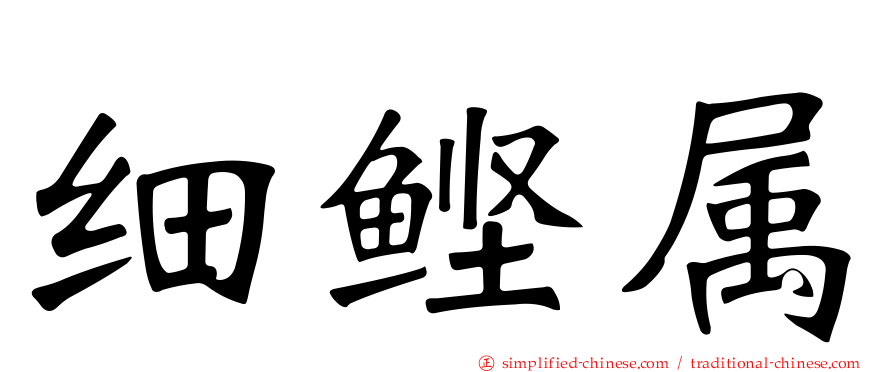 细鲣属