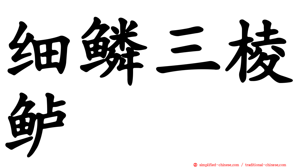 细鳞三棱鲈